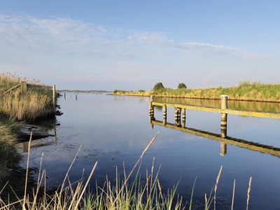 WSV Battenoord - Nieuwe-Tonge
