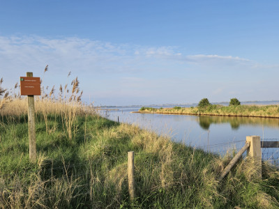 WSV Battenoord - Nieuwe-Tonge