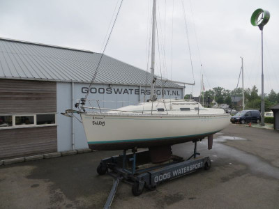 Goos Watersport - Grou