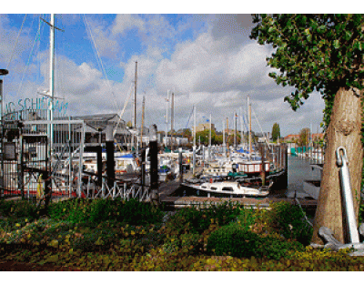 Jachtclub schiedam - Schiedam